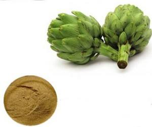 Artichoke Extract