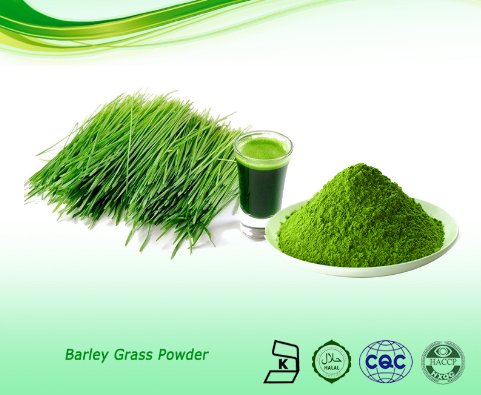 Barley Grass Powder