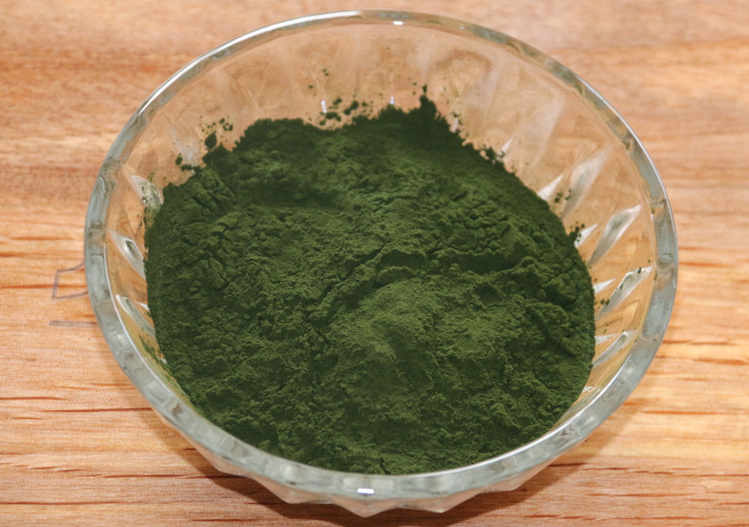 Chlorella 